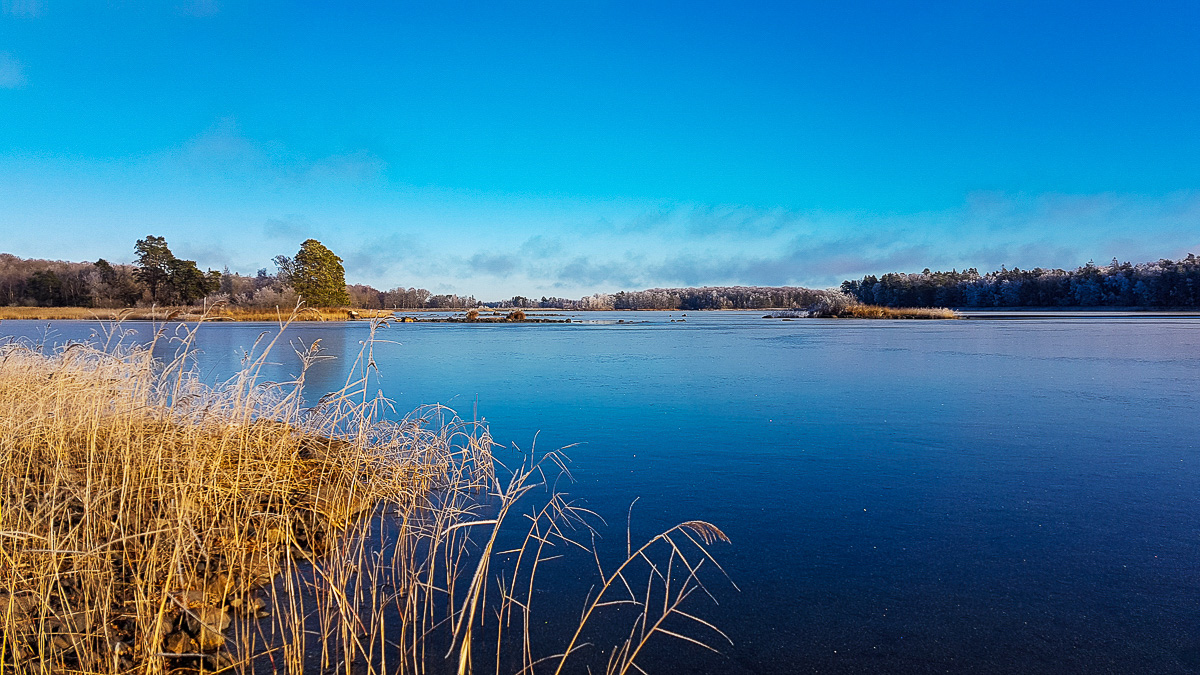 Åsnen-NOV18-010.jpg