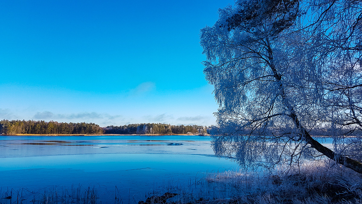 Åsnen-NOV18-016.jpg