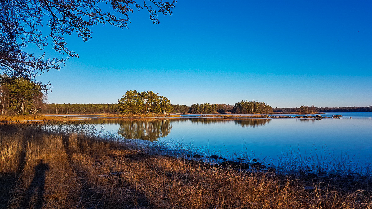 Åsnen-NOV18-024.jpg