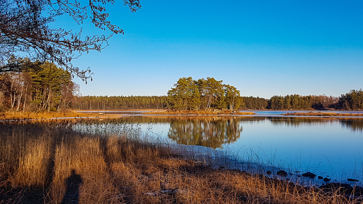 Åsnen-NOV18-026.jpg