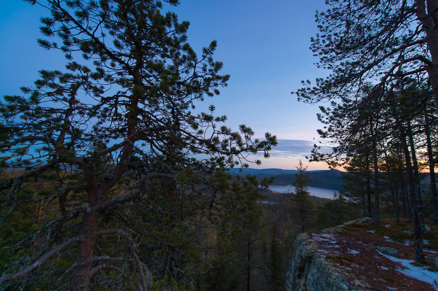 Björnlandet