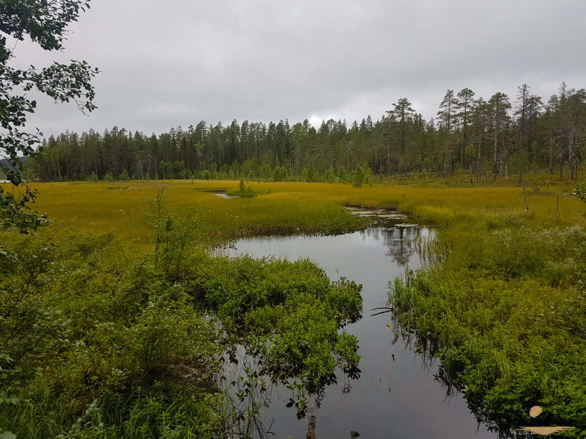 bjornlandet_190814_011.jpg